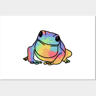 Rainbow tie-dye frog Posters and Art